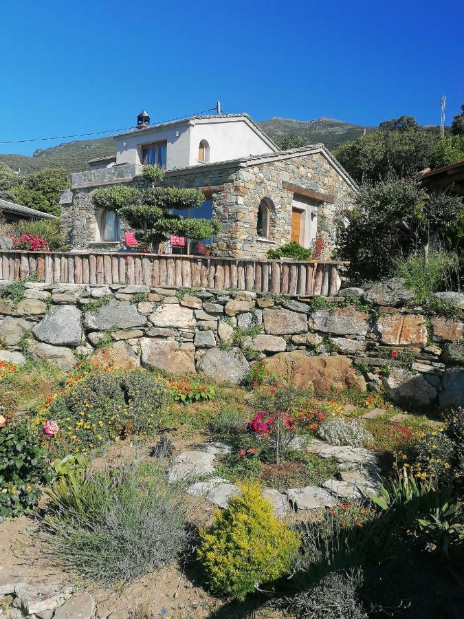 Pino Logement De Charme Avec Piscine Privative מראה חיצוני תמונה