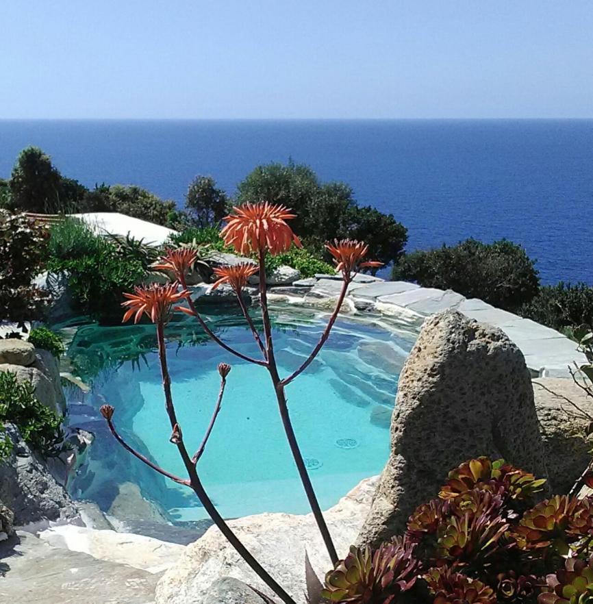 Pino Logement De Charme Avec Piscine Privative מראה חיצוני תמונה