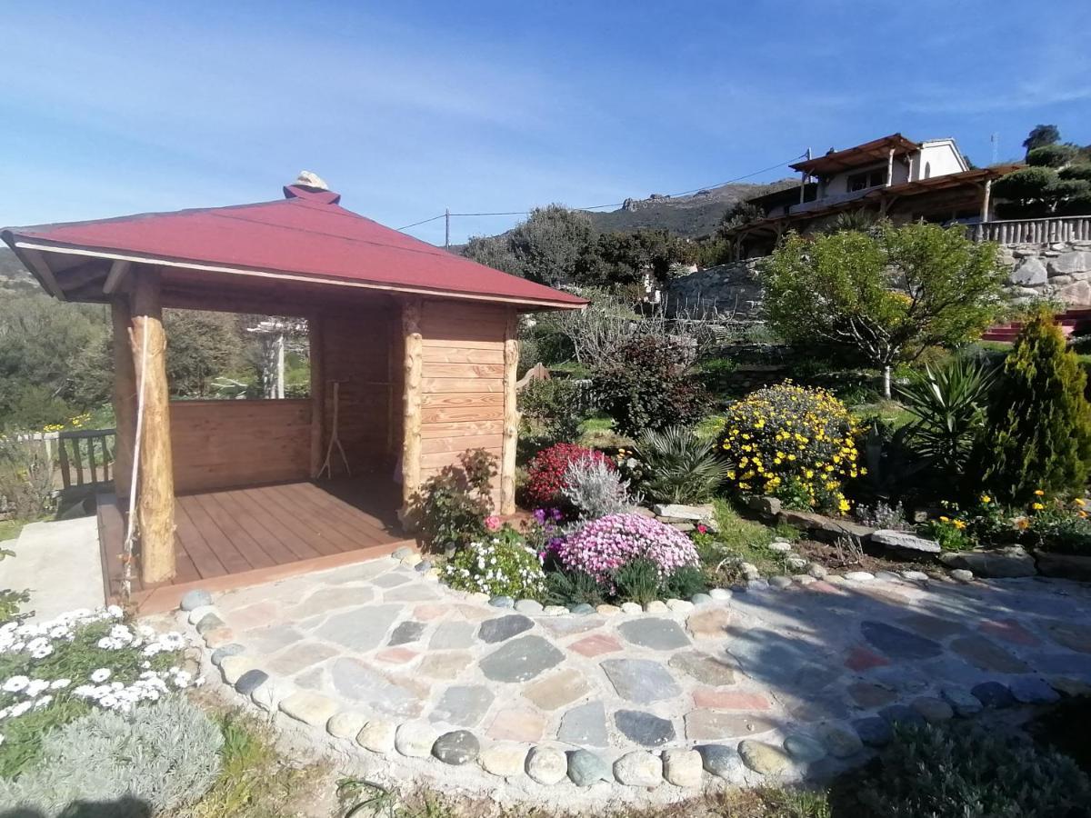 Pino Logement De Charme Avec Piscine Privative מראה חיצוני תמונה