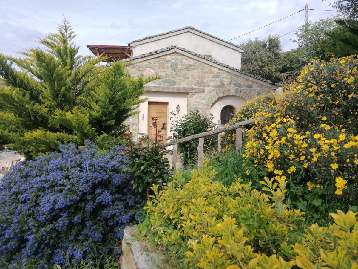 Pino Logement De Charme Avec Piscine Privative מראה חיצוני תמונה