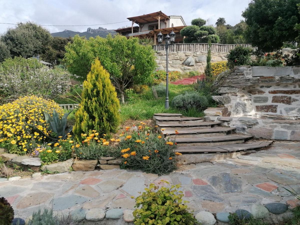 Pino Logement De Charme Avec Piscine Privative מראה חיצוני תמונה
